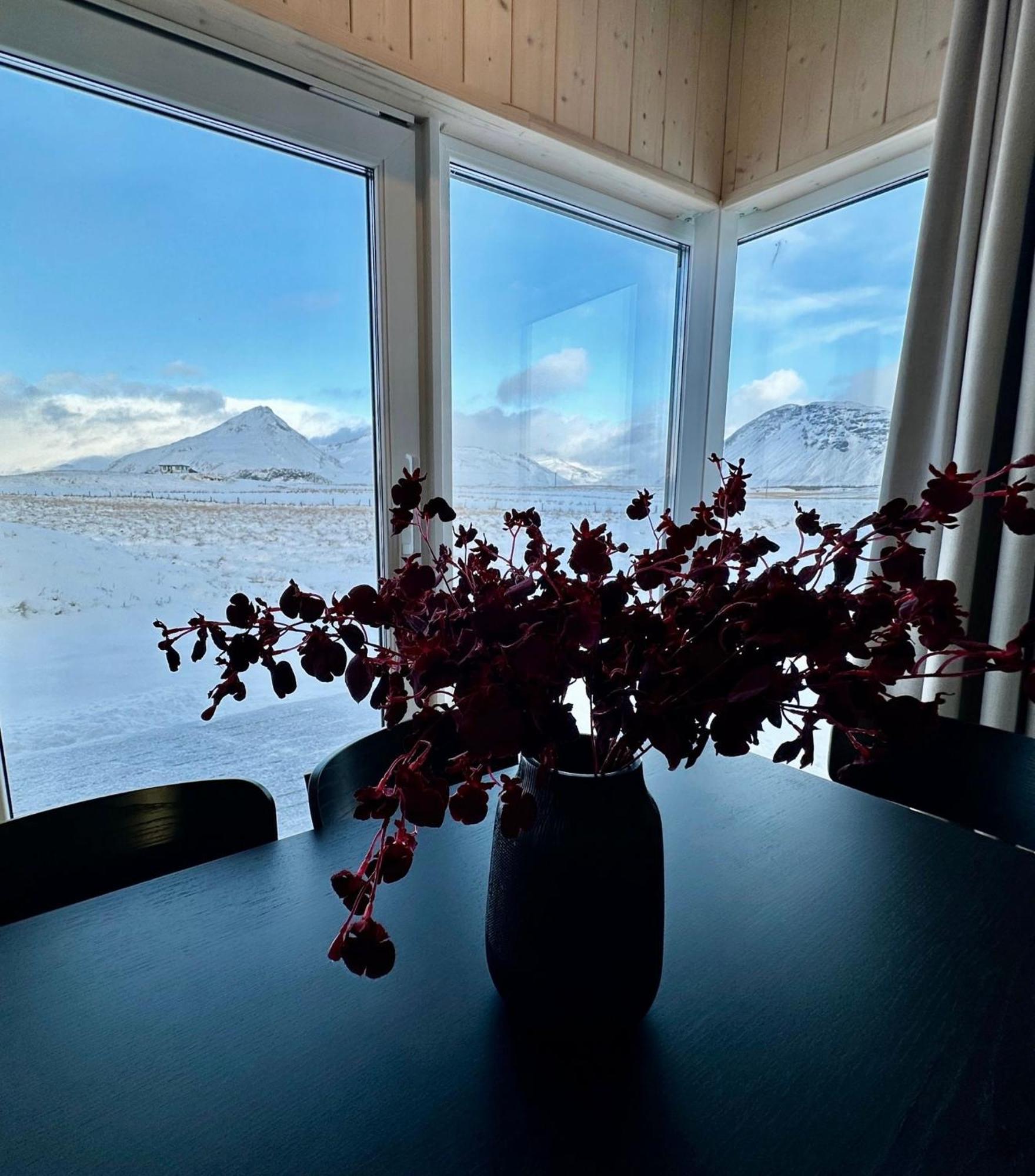 Rey Stays - House Höfn Exteriér fotografie